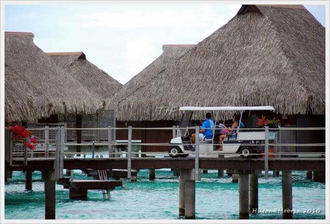 Moorea065.JPG